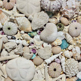 Beachcomber’s Bounty 550-Piece Jigsaw Puzzle