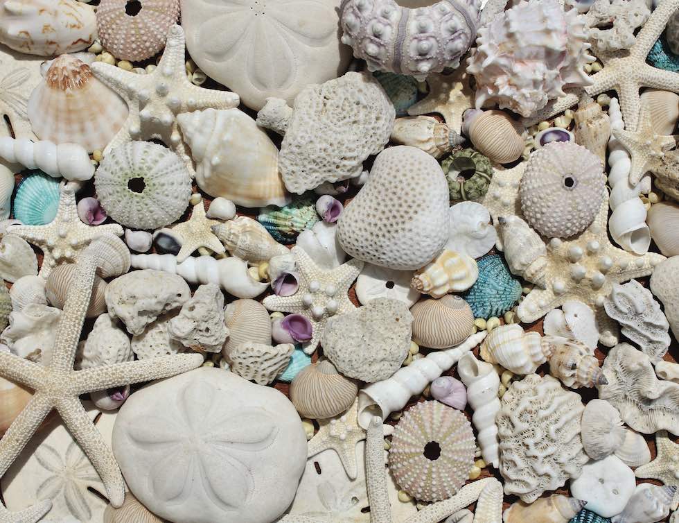 Beachcomber’s Bounty 550-Piece Jigsaw Puzzle