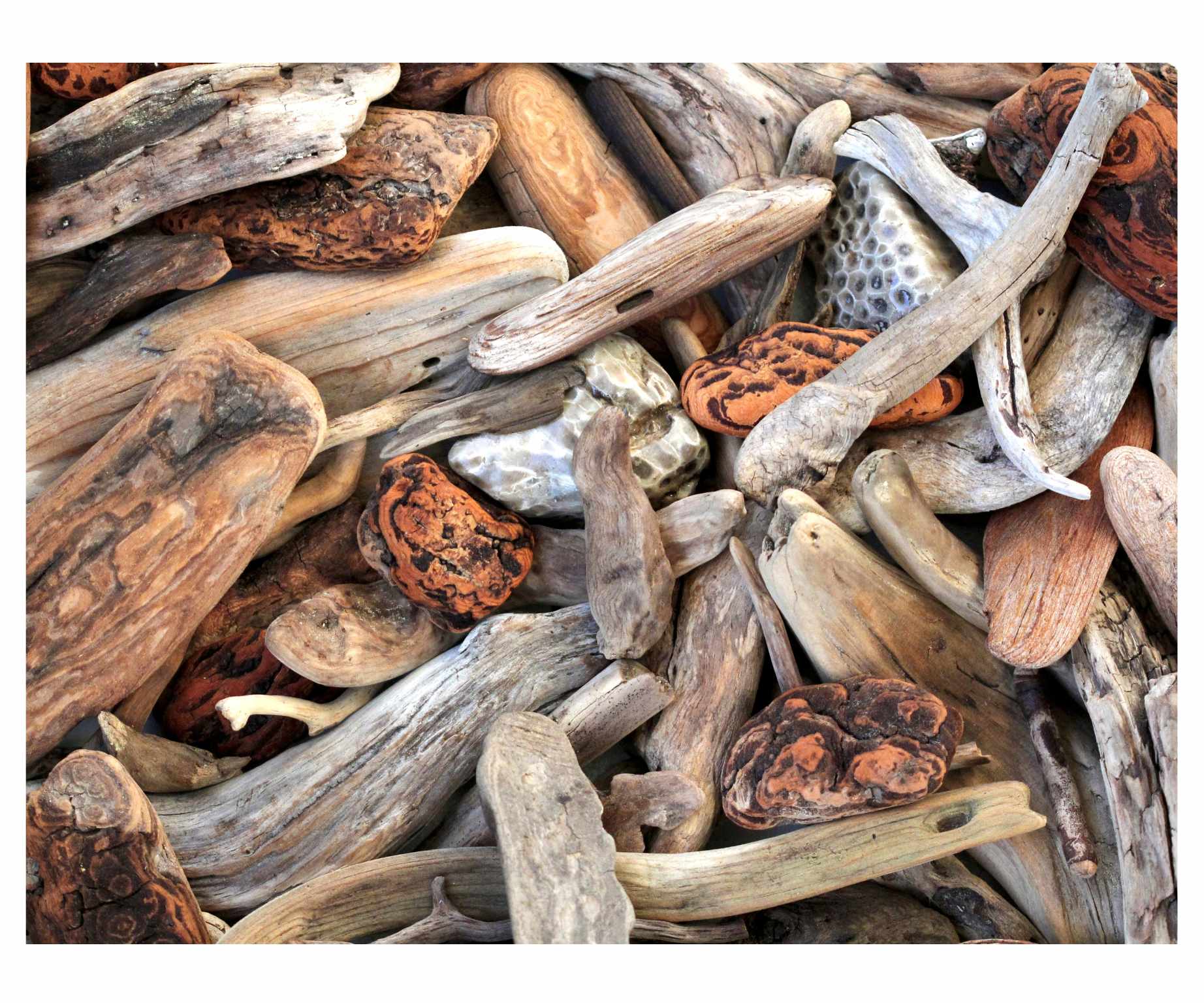 Driftwood Delight puzzle artwork of weathered driftwood and Petoskey stones