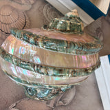 Pearl Turbo Shell