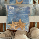 Sea Stars and Their Legend