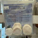 Sand Dollars and Their Legend