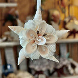 Star Shell Ornament