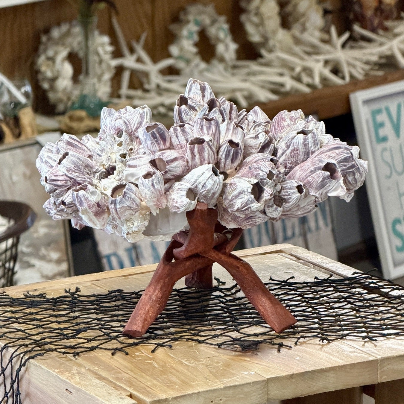 Purple Barnacle Cluster