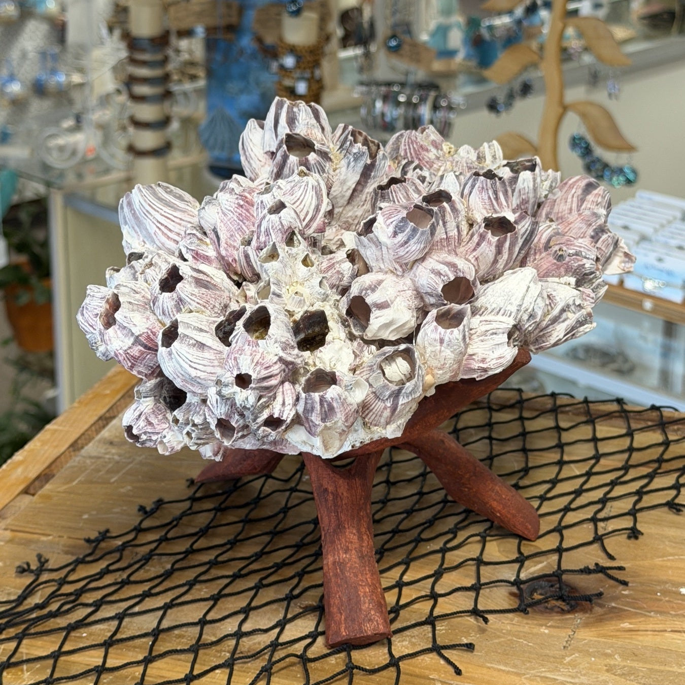Purple Barnacle Cluster