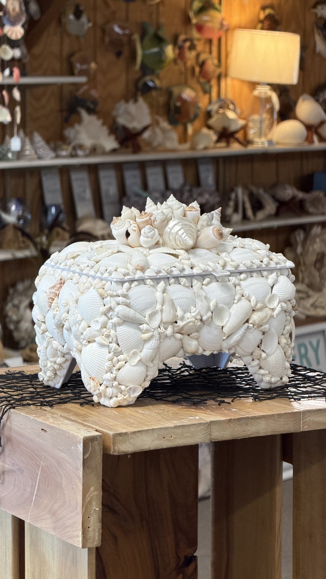 Seashell Jewelry Box (White)