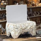 Seashell Jewelry Box (White)