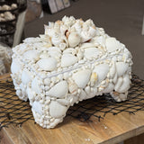 Seashell Jewelry Box (White)