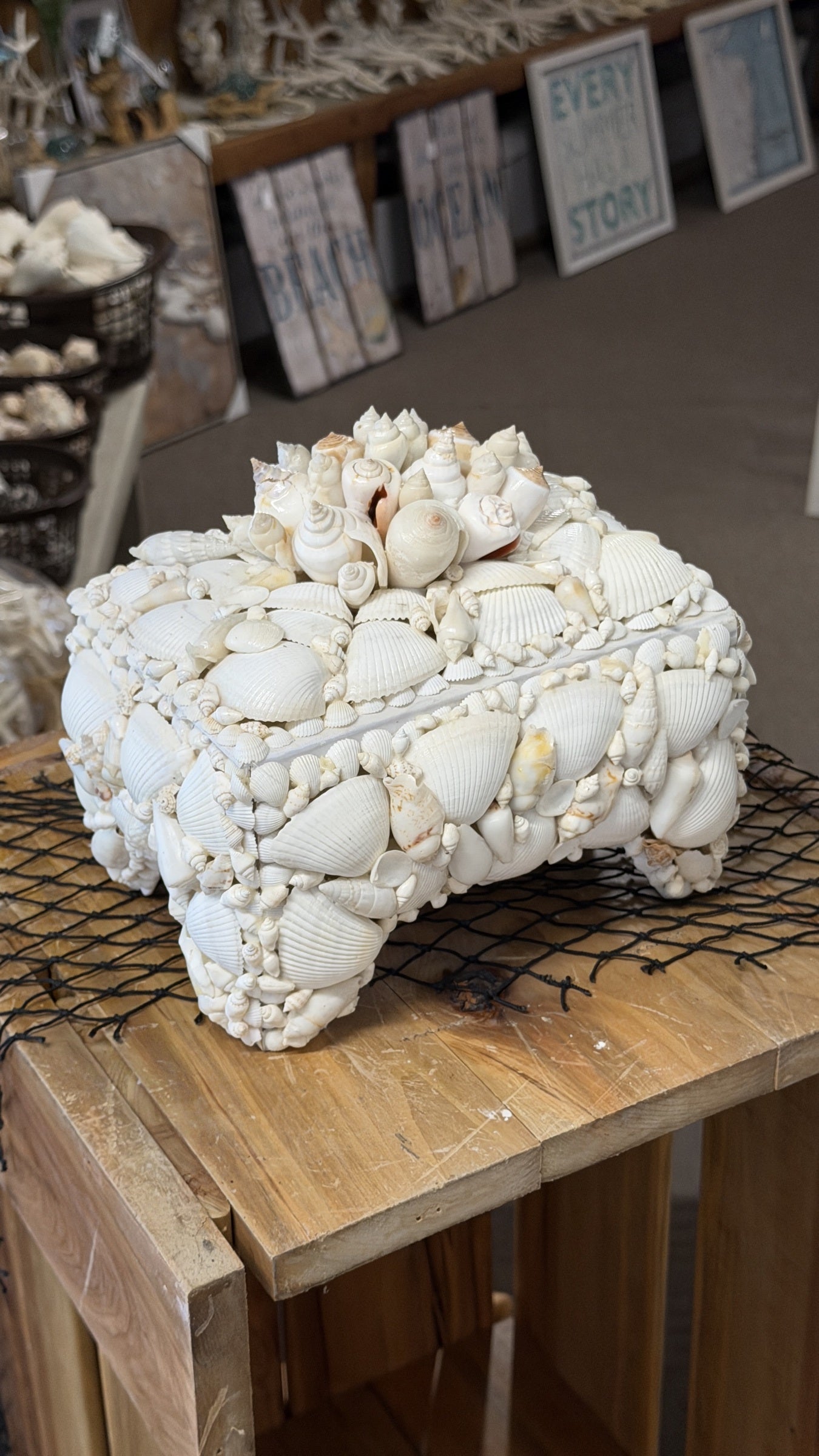 Seashell Jewelry Box (White)