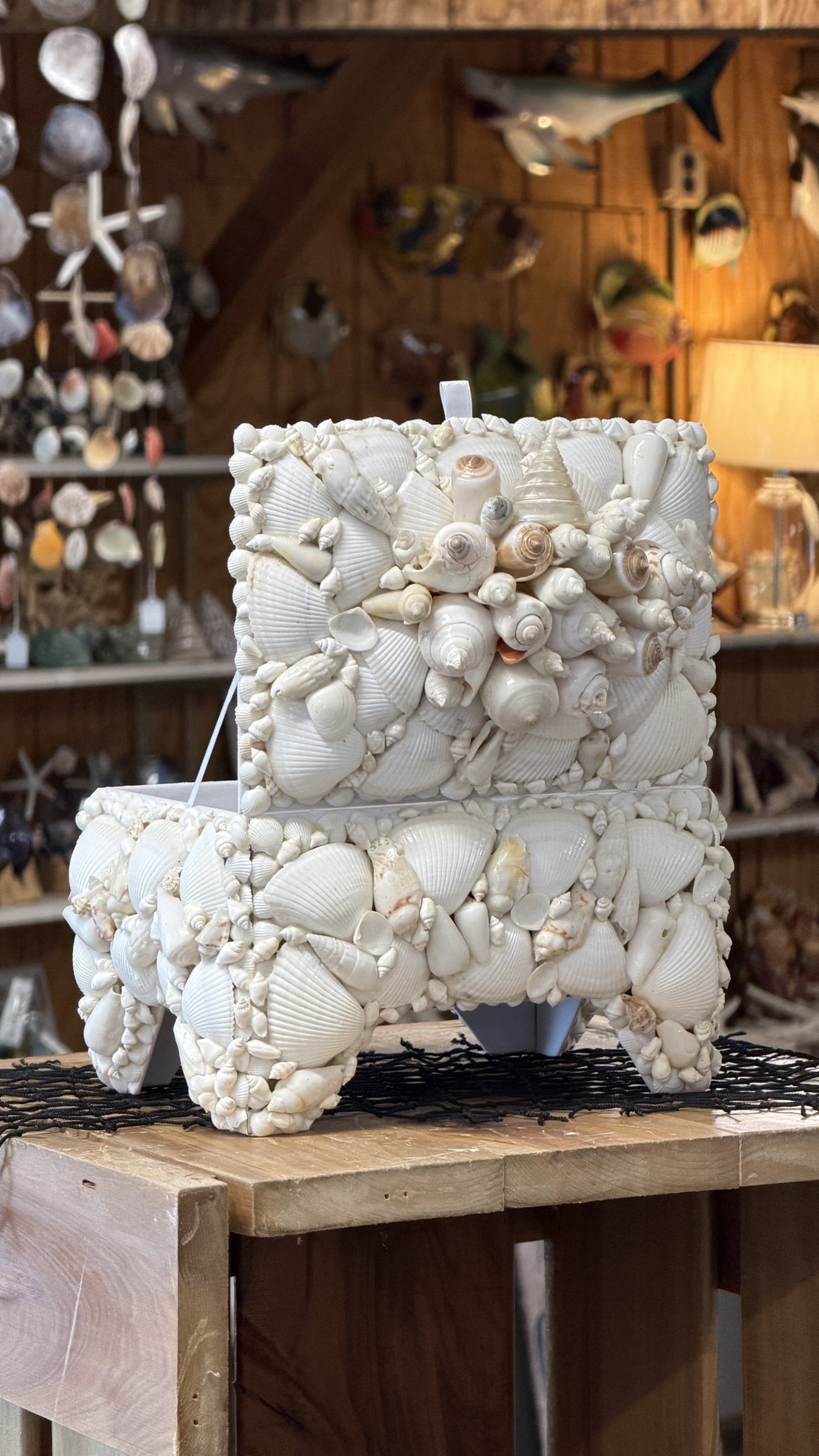 Seashell Jewelry Box (White)