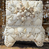 Seashell Jewelry Box (White)
