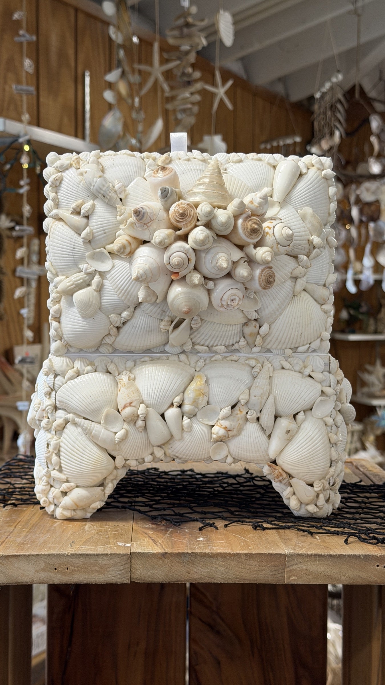 Seashell Jewelry Box (White)