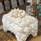 Seashell Jewelry Box (White)