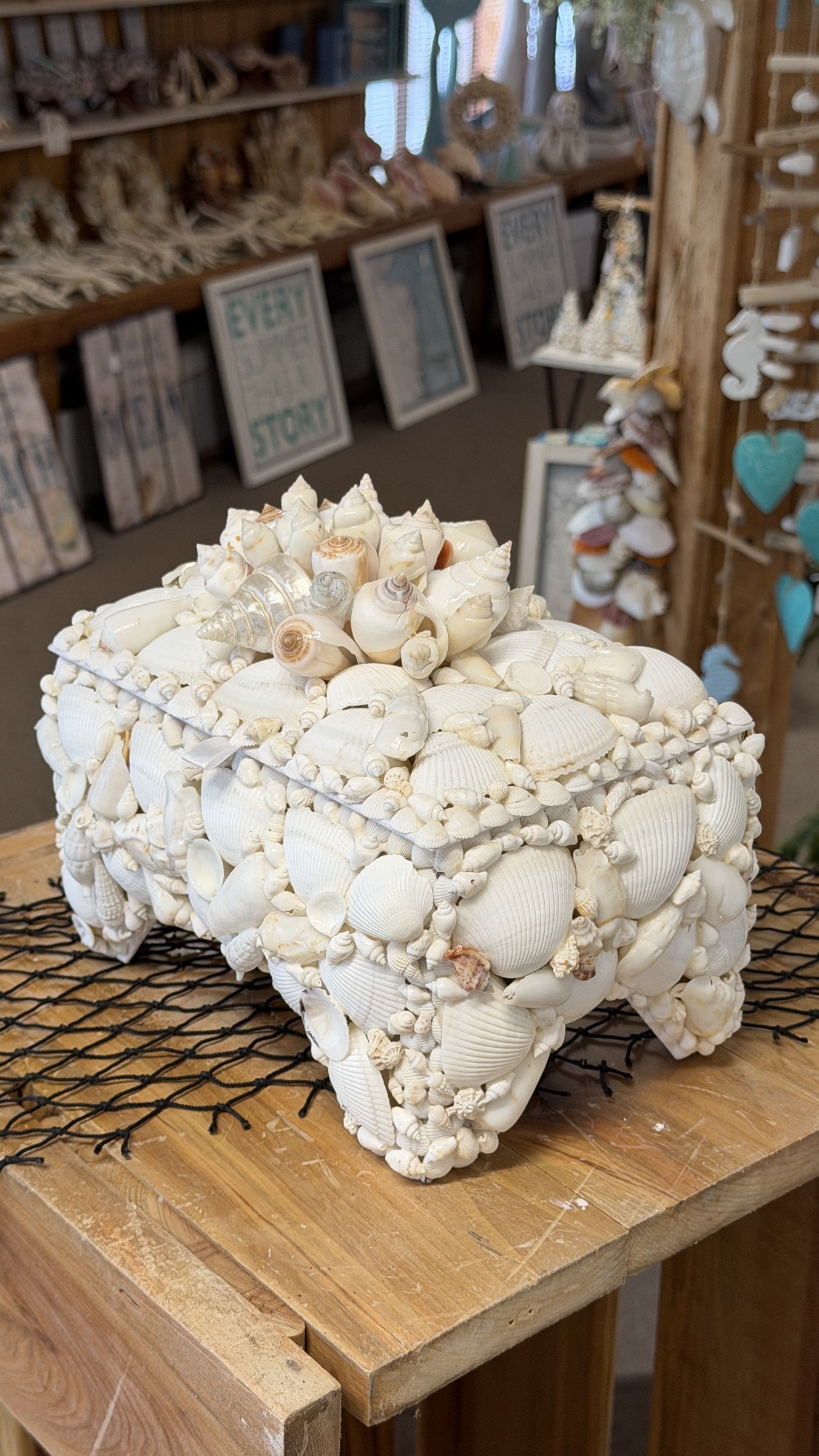 Seashell Jewelry Box (White)