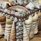Seashell Jewelry Box (Natural)