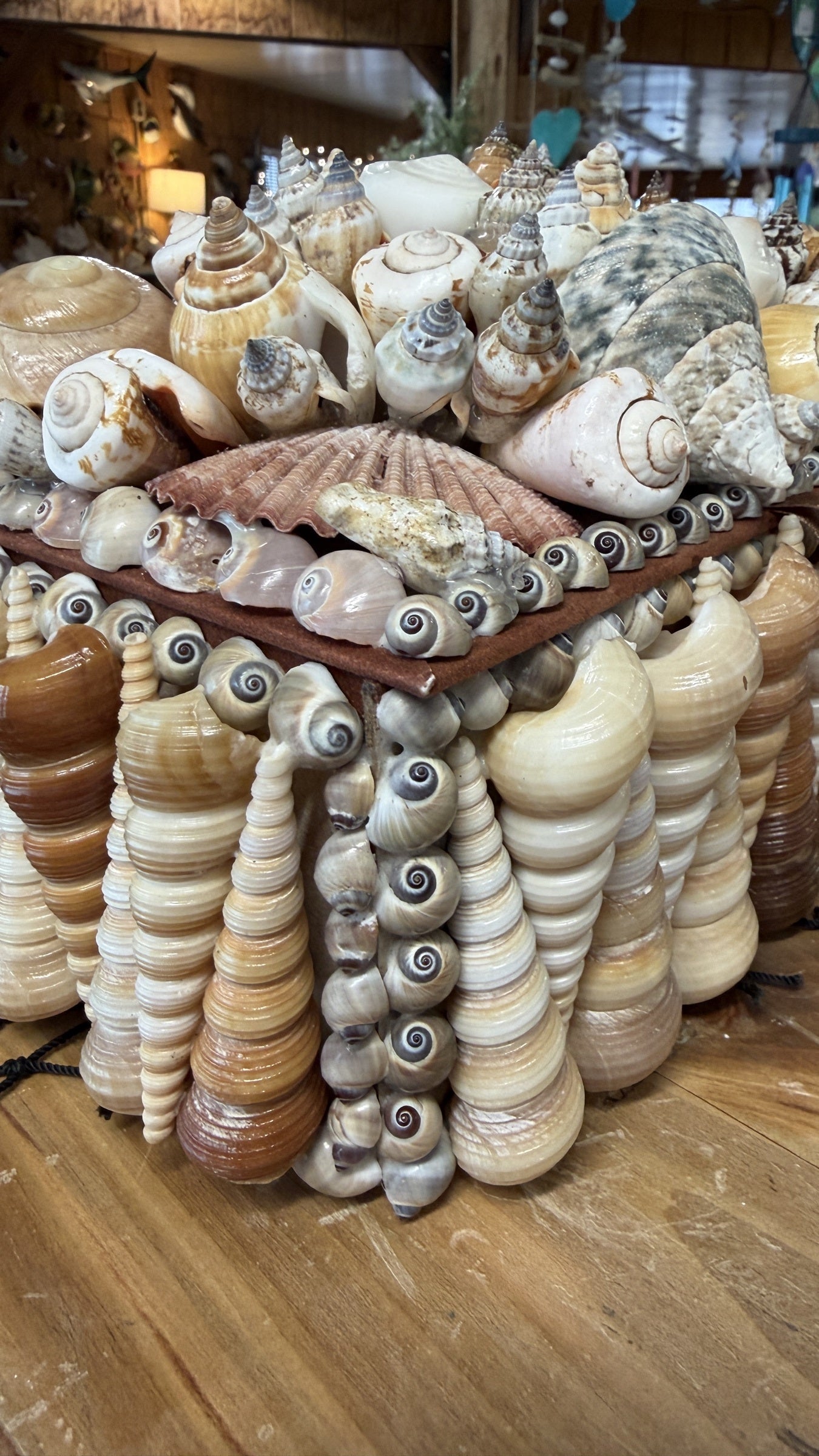 Seashell Jewelry Box (Natural)
