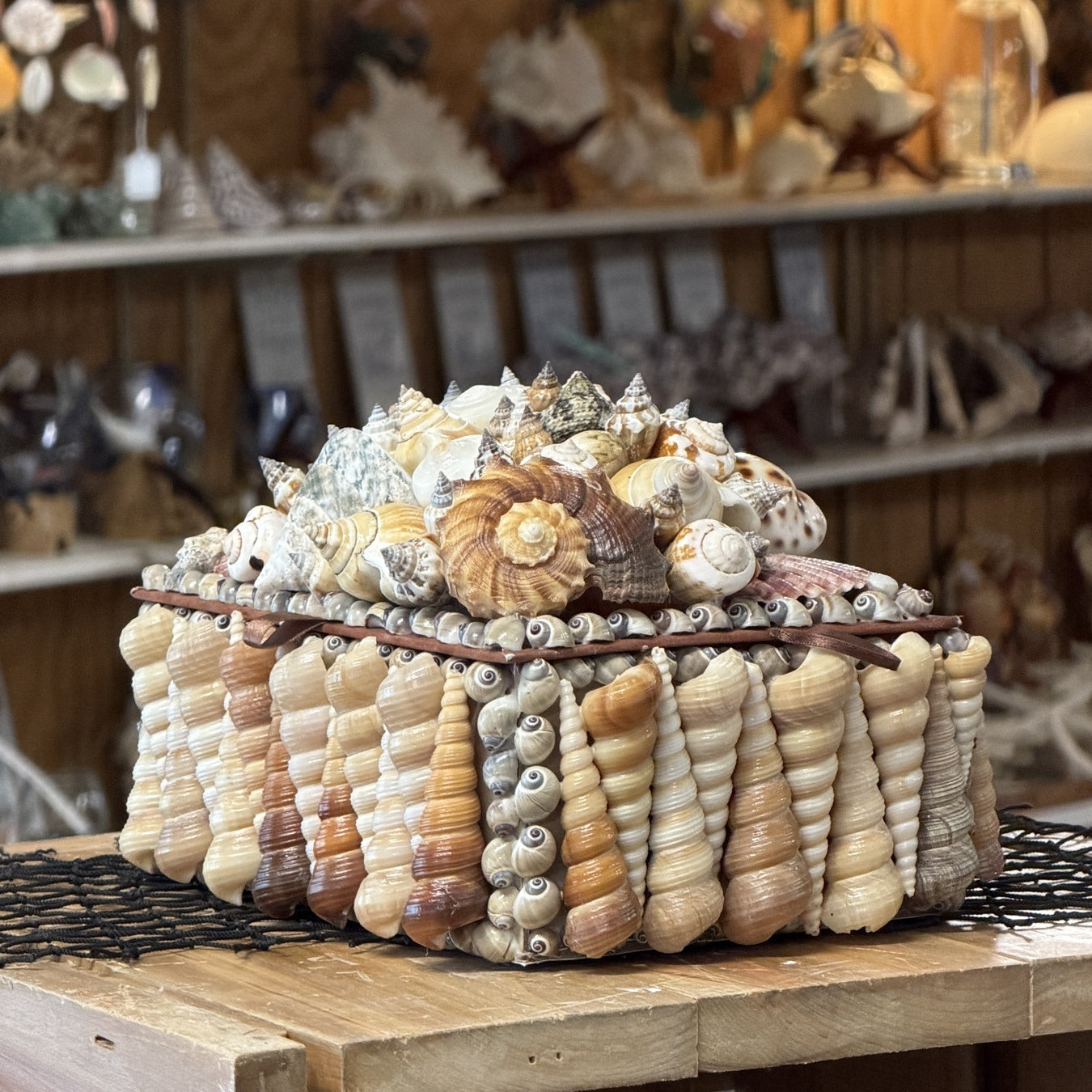 Seashell Jewelry Box (Natural)