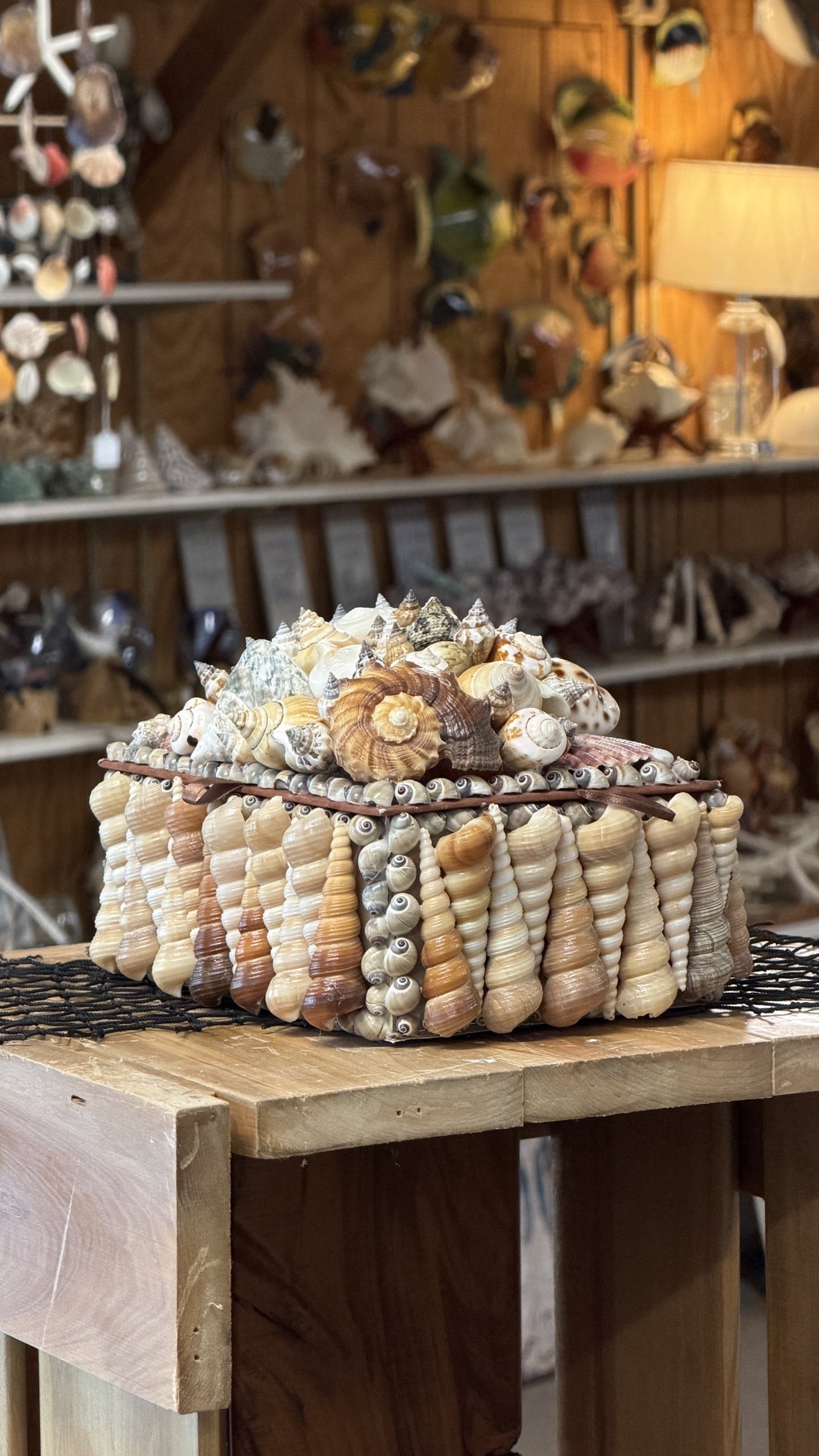 Seashell Jewelry Box (Natural)