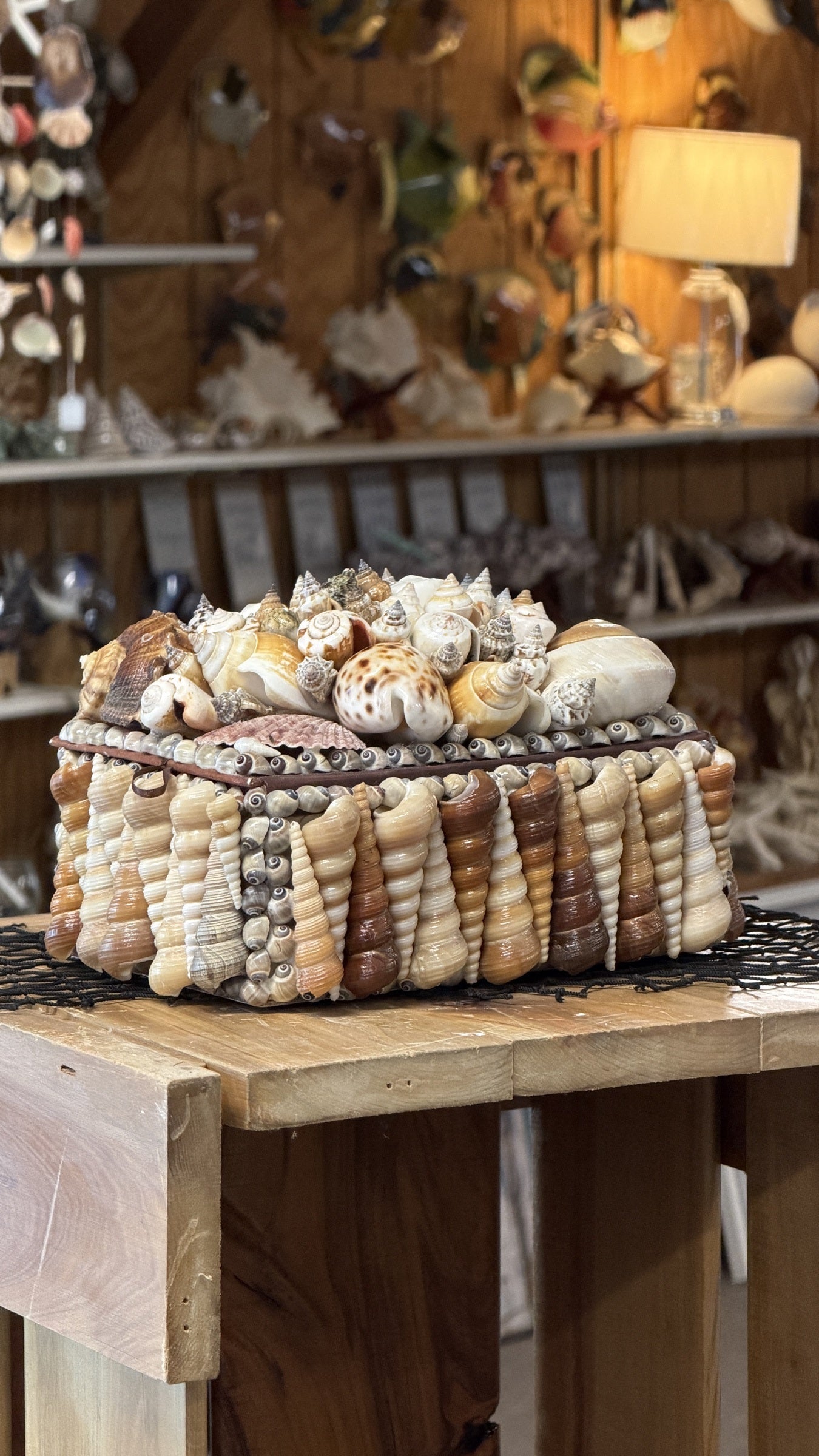 Seashell Jewelry Box (Natural)