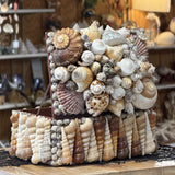 Seashell Jewelry Box (Natural)