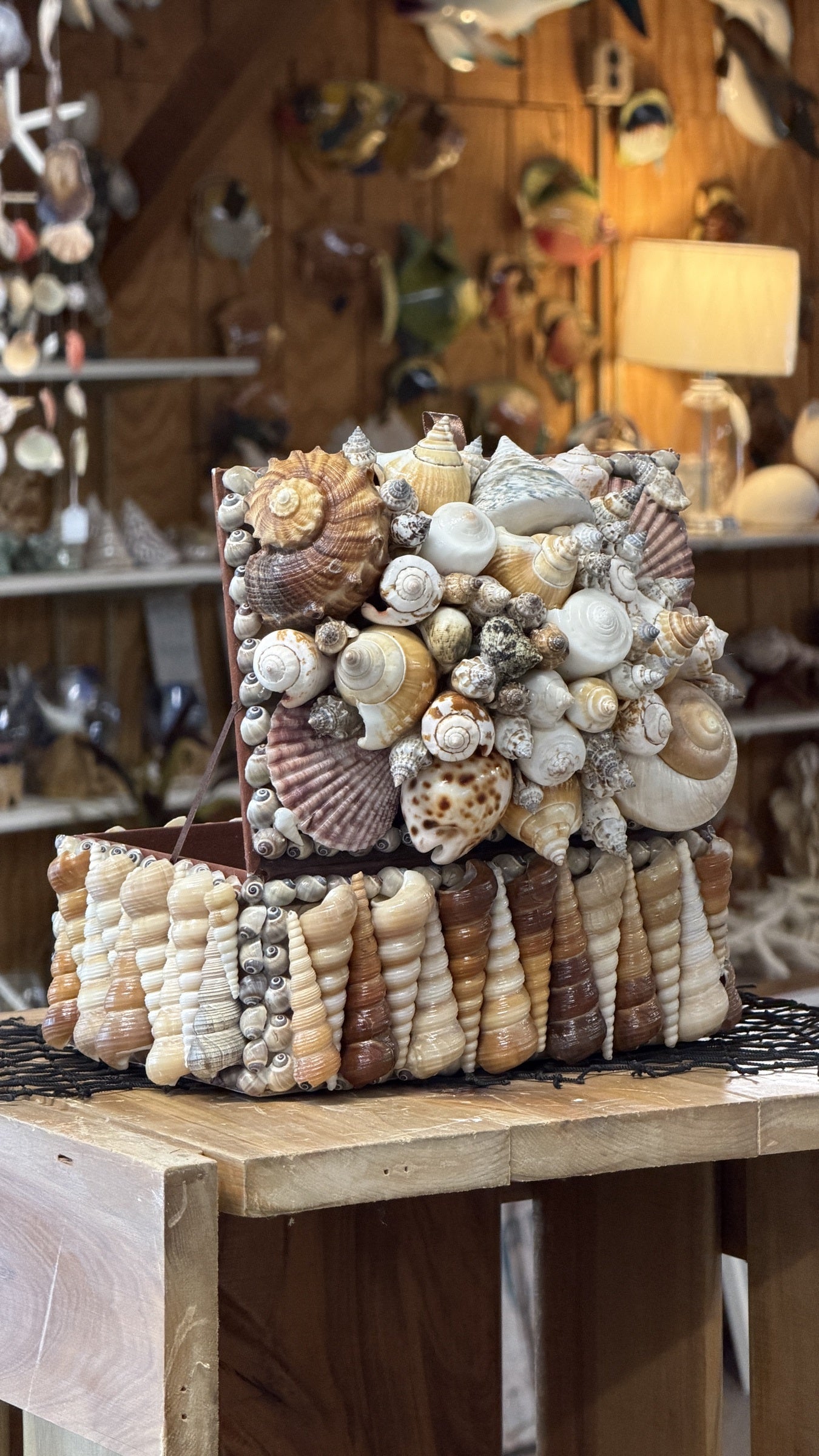 Seashell Jewelry Box (Natural)