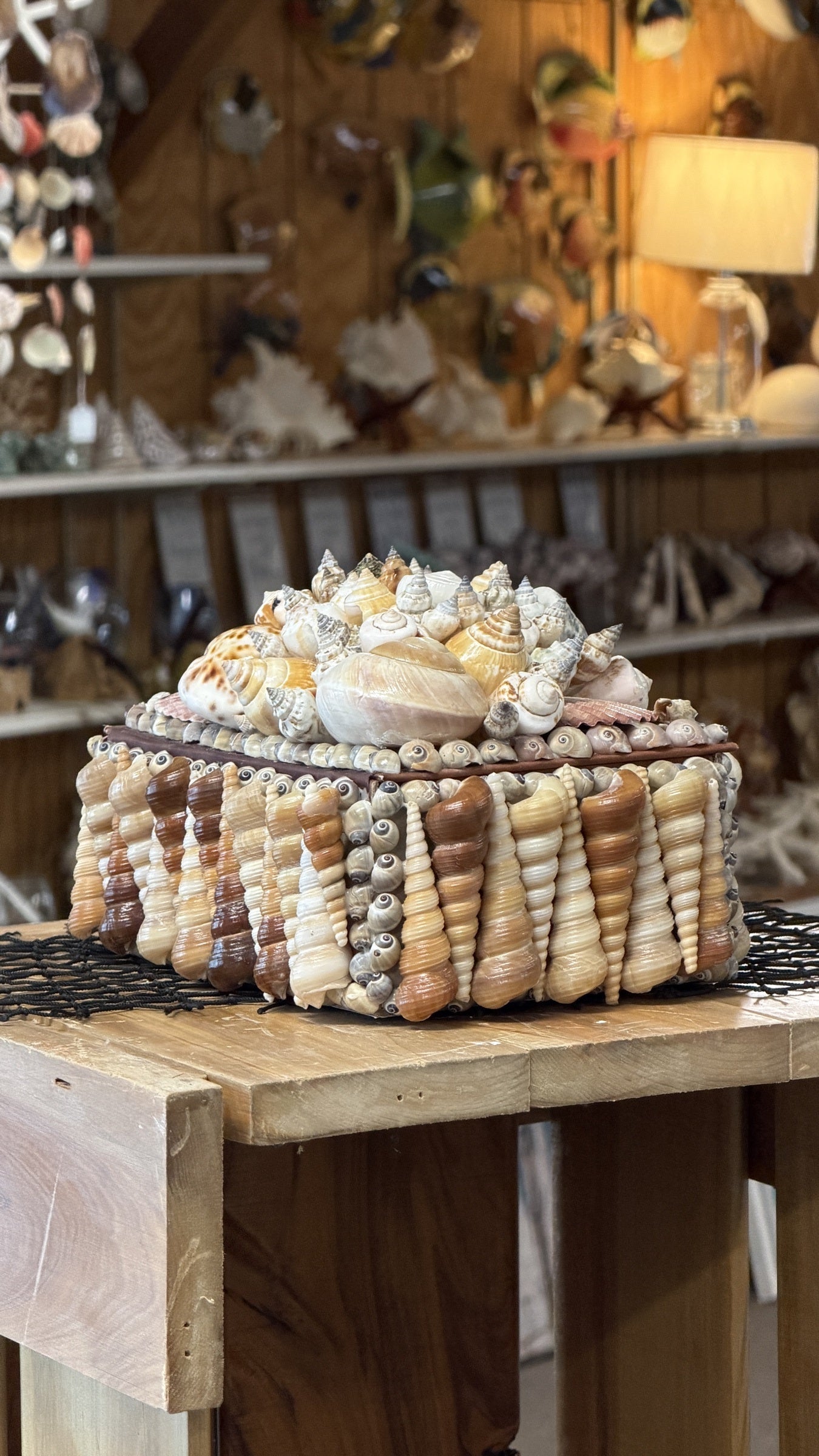Seashell Jewelry Box (Natural)