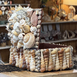 Seashell Jewelry Box (Natural)