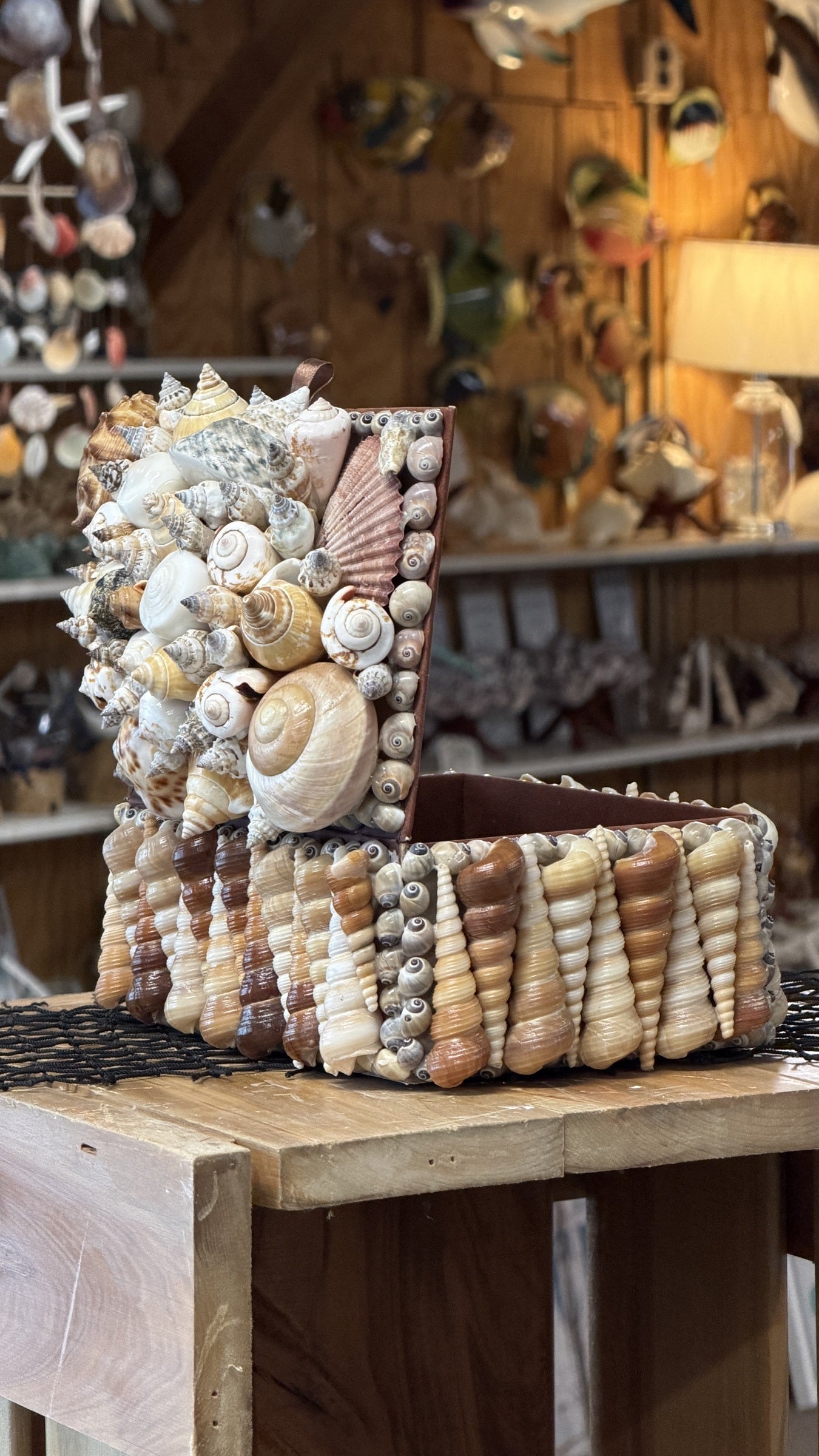 Seashell Jewelry Box (Natural)