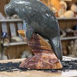 Marble Manatee