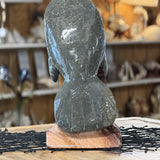 Marble Manatee